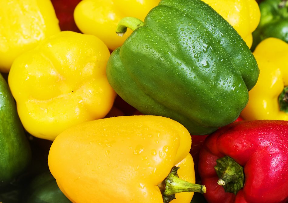 Sweet bell peppers at WYCO Produce