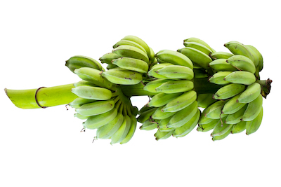 Thai bananas at WYCO Produce