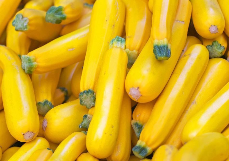 Sweet bell peppers at WYCO Produce