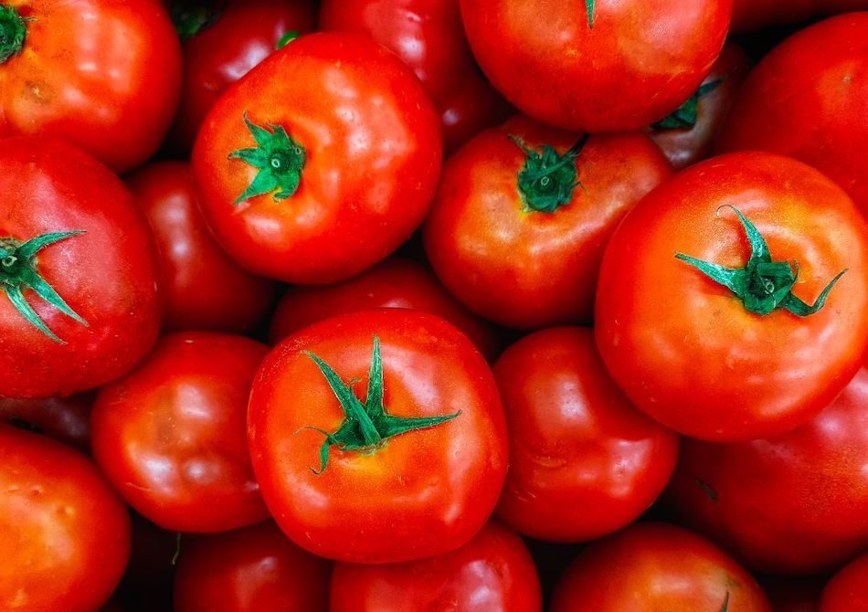 Sweet bell peppers at WYCO Produce