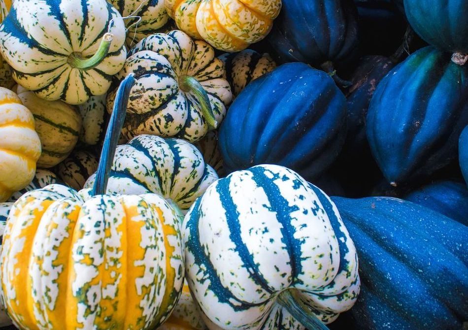Green beans at WYCO Produce